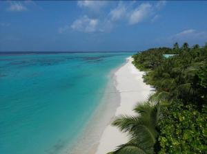 a view of a beach with palm trees and the ocean at Sunny Beach Thoddoo in Thoddoo