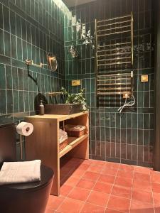 Ένα μπάνιο στο BILBAO NORTH SHORE APARTMENTs 10