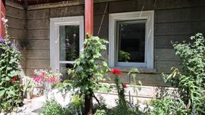 a house with two windows and flowers in front of it at Przy pałacu in Bozkow