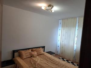a bedroom with a bed and a ceiling fan at Apartament Saraol in Deva