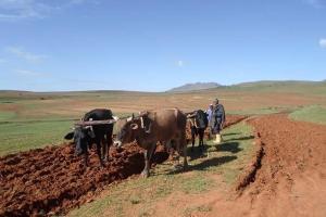 Afbeelding uit fotogalerij van Ha Ramabanta Riverside  +5 foto's