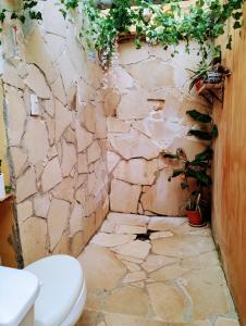 baño con pared de piedra, aseo y plantas en WorldBridger Portal de Mexico, en San Cristóbal de Las Casas