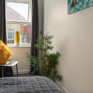 a bedroom with a plant next to a window at Modern Apartments in Bridgwater Town Centre in Bridgwater