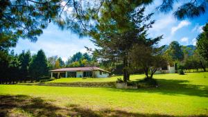 a small house in a field with a tree at Villa San Marcos in San Cristóbal de Las Casas