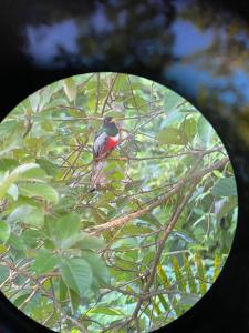 Φωτογραφία από το άλμπουμ του Casa Francesca Beautiful house with a large garden σε Sámara +44 φωτογραφίες