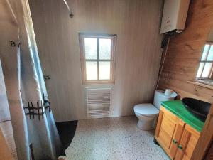 a bathroom with a toilet and a sink and a window at Pause nature au cœur des forêts in Saint-Pal-de-Senouire