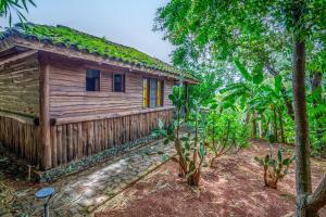 Galeriebild der Unterkunft El Sabanero Eco Lodge in San Francisco + 22 Fotos