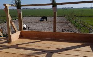 a wooden porch with a view of two horses in a field at Pipowagen bij Sneek, voor maximaal 2 personen in Hommerts