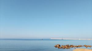 a group of birds sitting on the shore of the water at La Casa al Sole in Mazara del Vallo