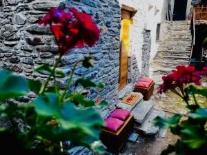 a red flower in front of a building with benches at Baita Snow Valtellina in Chiesa in Valmalenco