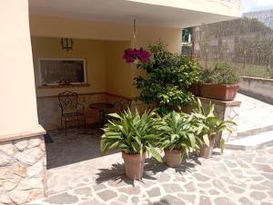 a group of potted plants sitting on a patio at Casa vacanza luisa in Sezze