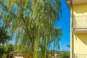 a weeping willow tree in front of a building at Willow's House Assisi Big house for Family and friends in Tordibetto