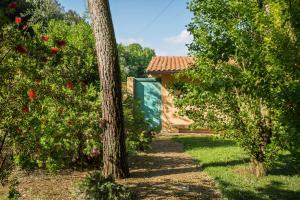 タルクイーニアにあるAgriturismo Valle del Martaの木々と家の庭を通る小道