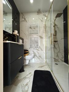 un bagno con doccia e WC di Appartement de luxe Dubai , Chambre, salon et SDB Privés, cuisine partagée a Liegi Altre 24 foto