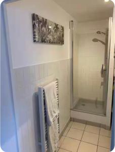 a bathroom with a shower and towels on a tile floor at Meublé bord de Mer in Gravelines