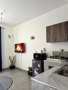 ムトワッパにあるAlvense apartmentのストーブと壁の暖炉のあるキッチン
