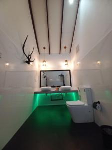 a bathroom with a green floor and a toilet at Euro Elephant Yala in Tissamaharama