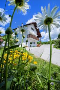 Zahrada ubytování Apartment Bastaja