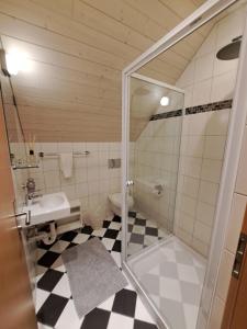 a bathroom with a shower and a sink and a toilet at good bed Aarwangen in Aarwangen +24 photos