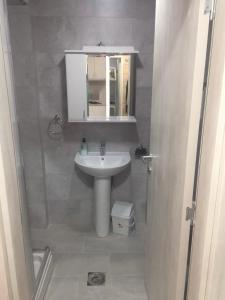 ein Badezimmer mit Waschbecken und Spiegel in der Unterkunft DZL - Apartman Nina in Vrnjačka Banja