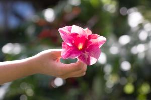 a woman holding a pink flower in her hand at Lumeria Maui, Educational Retreat Center in Makawao
