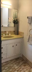 a bathroom with a sink and a vase with flowers at Home on the Bay on Esplanade and Buller St Kingscote-3 people in 2 nights get the 3rd night free in Parndana