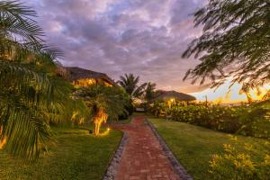 Ein Garten an der Unterkunft Villas del Mar Máncora