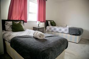 a bedroom with two beds with a dog laying on the bed at Unbeatable Value I Best Rates I Garden I Wi-Fi I Parking in Stanford le Hope
