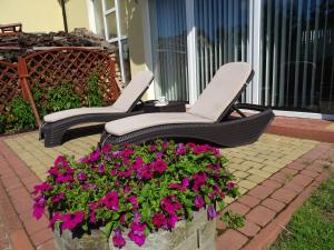 ヤストシェンビャ・グラにあるWilla Global komfortowe pokoje nad morzemの花茎の椅子二脚