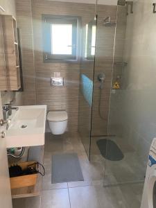 un bagno con doccia, WC e lavandino di Anesi Vista Apartment a Vassiliki Altre 14 foto