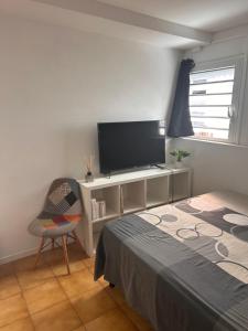 a bedroom with a bed and a flat screen tv at Logement indépendant St leu dans les bas in Saint-Leu