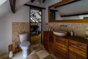 ein Badezimmer mit Toilette, Waschbecken und Spiegel in der Unterkunft Le Coustal in Auriac-du-Périgord + 34 Fotos