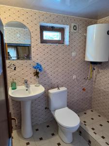 メスティアにあるWooden Houseのトイレと洗面台付きのバスルーム