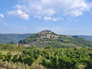 a village on top of a hill with trees at Apartment Nena- apartman sa posebnim ulazom u prizemlju, terasom i zelenom okućnicom in Rakotule
