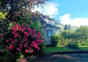 a bush of pink flowers in front of a house at Adorable studio cottage with mountain views in Staveley