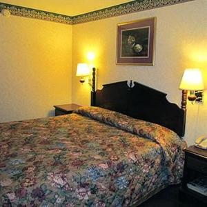 a hotel room with a bed and two lamps at Eagle Inn Sumter in Sumter