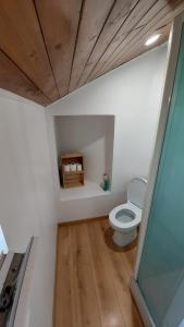 a bathroom with a toilet in a room at T2 dans le centre ville de Ferney in Ferney-Voltaire