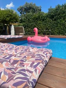 a swimming pool with a pink toy in the water at Pompei Duplex Apartment Deluxe in Boscoreale +153 photos