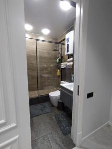 a bathroom with a shower and a toilet and a sink at Bukhara Penthouse in Bukhara