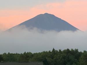Příroda nedaleko penzionu