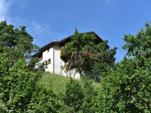 a house on top of a hill with trees at Cozy Stay near Aletsch in Grengiols