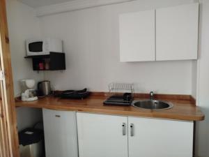 a kitchen counter with a sink and a microwave at Cizen in Irancy