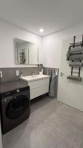 a bathroom with a washing machine and a sink at Ferienwohnung am Teufelsloch mit 2 Schlafzimmern und 2 Schlafcouchen a 1,4m in Altenahr
