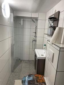 a bathroom with a shower and a sink at Kleinzimmer in Rüdesheim am Rhein