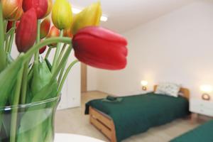 a vase with red and yellow tulips in a room at Centrum Edukacji Ekologiczno-Turystycznej in Myczków