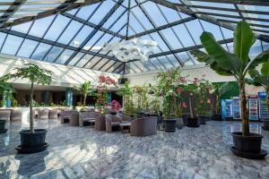 a conservatory with chairs and plants and a glass ceiling at Zarafshon Hotel Bukhara in Bukhara