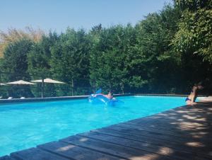 Gallery image of Villa Moro Lin Design Apartments in Mestre