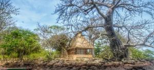 Zahrada ubytování NANTIRIA Angurman