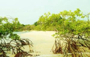 Galeriebild der Unterkunft NANTIRIA Angurman in Bubaque