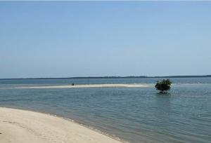 Galeriebild der Unterkunft NANTIRIA Angurman in Bubaque + 21 Fotos